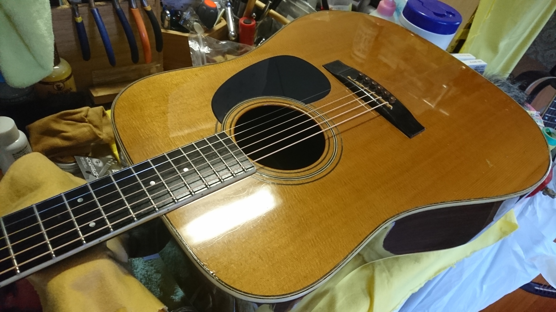 JUNO モッキンバード モデル ゲット！ - 等身大の日常